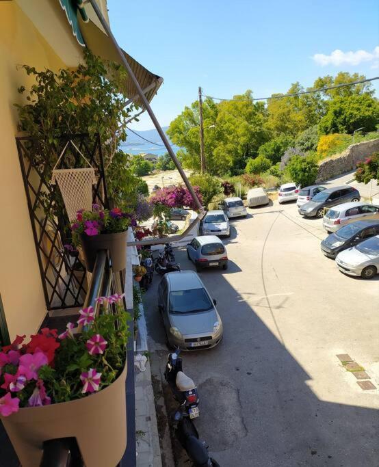 Xenofon'S Cozy Apartment Corfu  Eksteriør billede